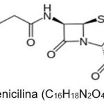 Ganadores del 10° Concurso Nacional de Relatos, Historietas y Cuentos Cortos "Contemos la Ciencia" - Tema: "la Penicilina"