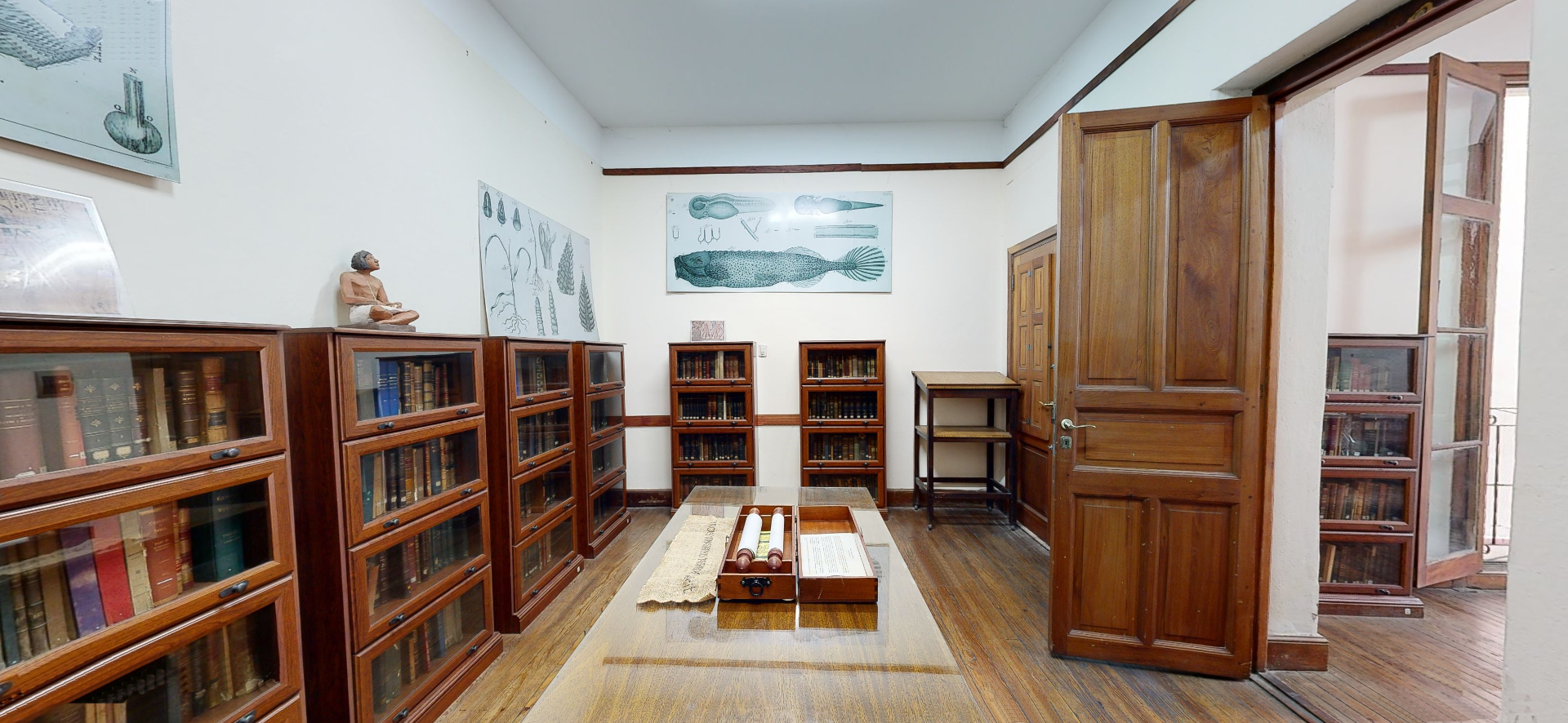 sala_libri_antiqui_2